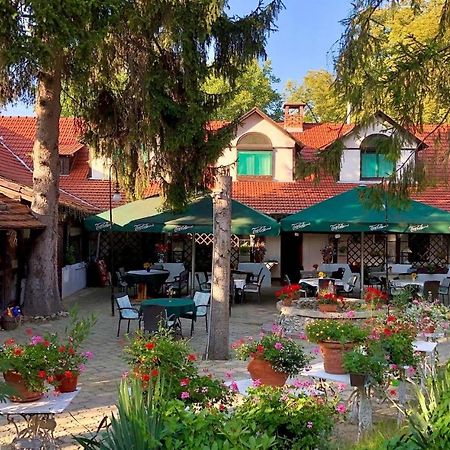 Talizman Etterem Panzio Hotel Miskolc Bagian luar foto